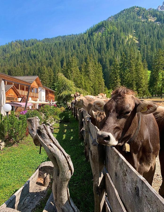Alpin Natur Hotel Brueckele ブラーイエス エクステリア 写真