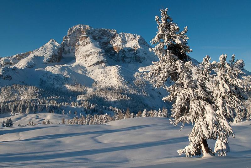 Alpin Natur Hotel Brueckele ブラーイエス エクステリア 写真